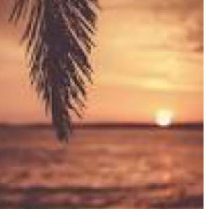 Meet your Posher, Aylee